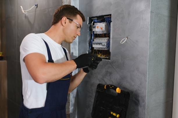 Best Electric Panel Repair  in Vienna, GA